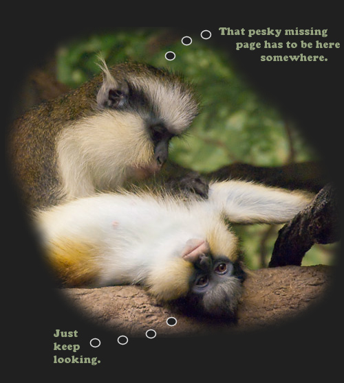 Funny image of a crested guenon looking for the missing page