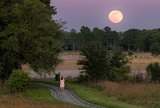 Woman watching full moon - Watermelon Pond, Florida