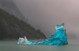 Blue iceberg - Tracy Arm Fjord, Alaska