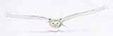 Snowy Owl flying over snow - Stayner, Ontario, Canada