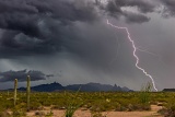 Sonoran Desert Monsoon lightning - Ajo, Arizona