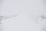 Blizzard on farm road - Stayner, Ontario, Canada