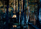 Barred Owl Roost camping platform - Roanoke River, North Carolina