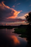 Thunderstorm lit by setting sun - Myakka River State Park, Florida