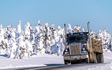 Truck and snow-covered trees - Dalton Highway, Alaska