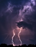 Lightning - near Gainesville, Florida