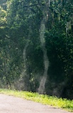Steam devils - Gainesville, Florida