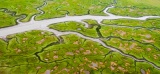 Tidal plain drainage channels - Cook Inlet, Alaska