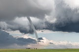 Tornado and cows - north of Lamar, Colorado