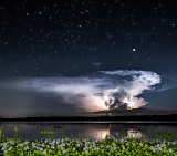 Lightning over Myakka River - Myakka River State Park, Florida