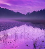 Dawn at Hodgdon Pond - Acadia National Park, Maine
