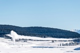 Steam plume from thermal vent - Yellowstone National Park, Wyoming