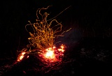 Smoldering log after bushfire - Kakadu National Park, Northern Territory, Australia