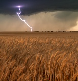 Lightning striking wheat field - rural western Oklahoma