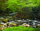 Laurel Creek - Great Smoky Mountains National Park, Tennessee